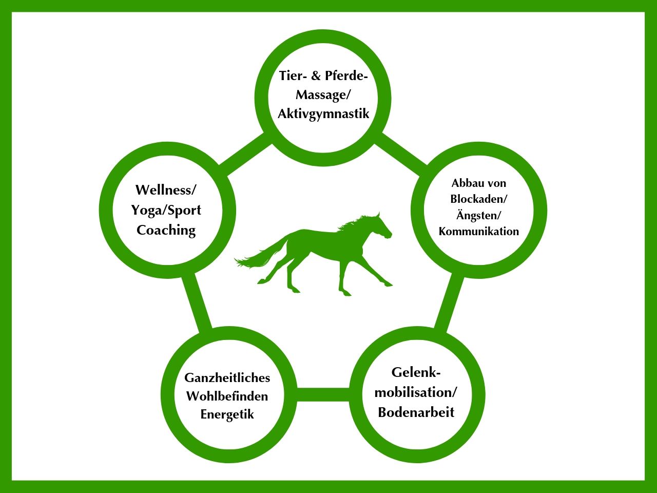Layout gestaltet mit: Canva Pferdetraining Kurs: ImPuls-Methode von Adrienne Tomkinson